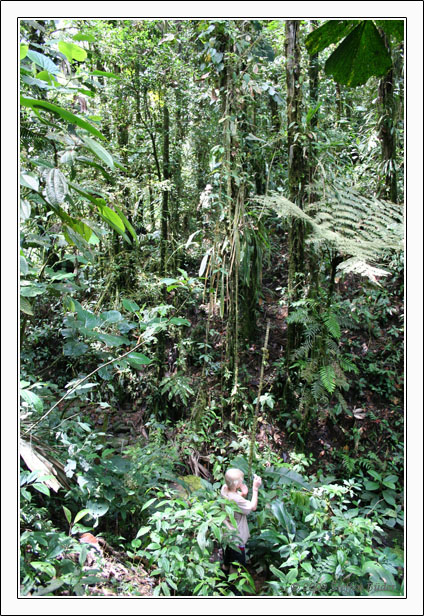 Ecuador Peru Cotopaxi Amazonas Huaraz Cordillera Blanca
