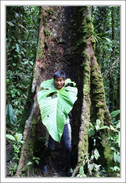Ecuador Peru Cotopaxi Amazonas Huaraz Cordillera Blanca