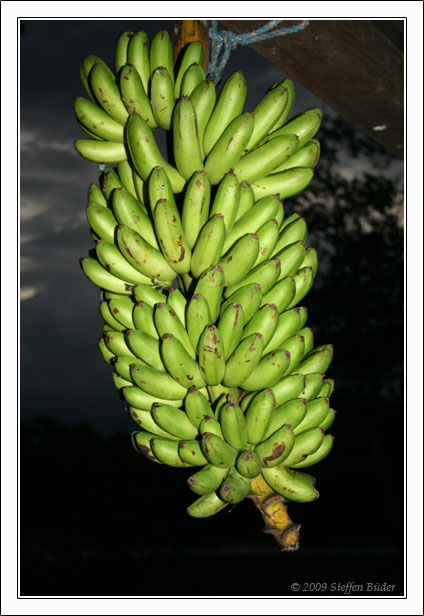 Ecuador Peru Cotopaxi Amazonas Huaraz Cordillera Blanca