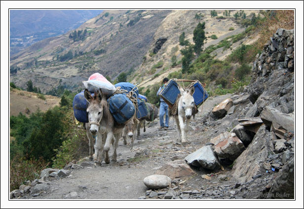 Ecuador Peru Cotopaxi Amazonas Huaraz Cordillera Blanca