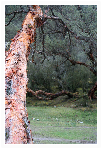 Ecuador Peru Cotopaxi Amazonas Huaraz Cordillera Blanca