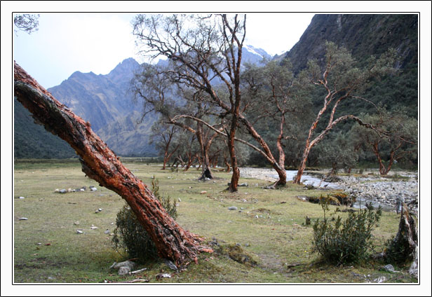 Ecuador Peru Cotopaxi Amazonas Huaraz Cordillera Blanca