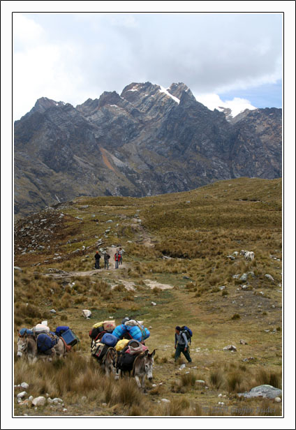 Ecuador Peru Cotopaxi Amazonas Huaraz Cordillera Blanca