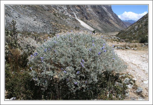 Ecuador Peru Cotopaxi Amazonas Huaraz Cordillera Blanca