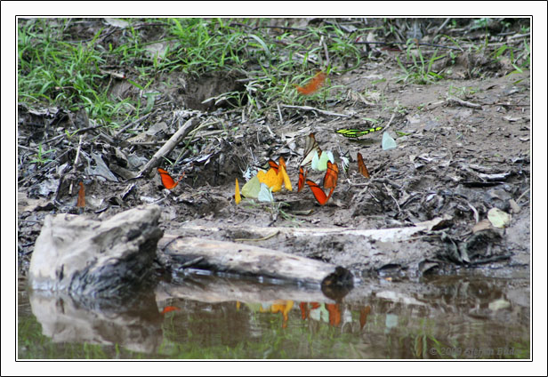 Ecuador Peru Cotopaxi Amazonas Huaraz Cordillera Blanca