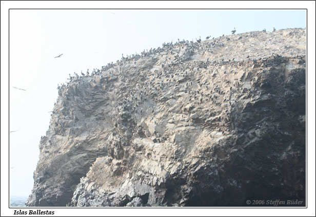 Peru Inka Anden Fotos Bilder Reiseberichte Pisco Islas Ballestas