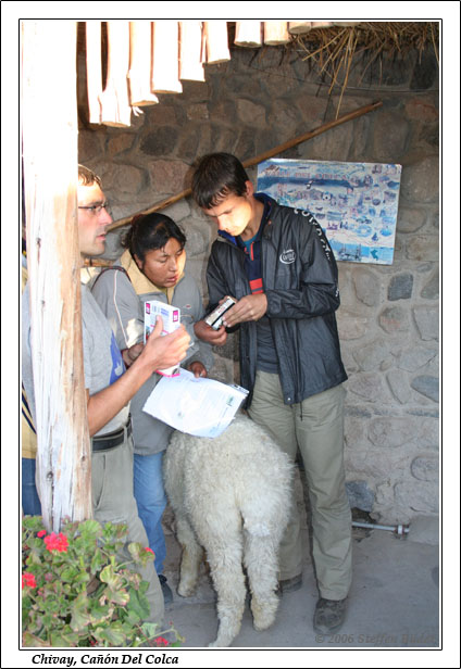 Peru Inka Anden Fotos Bilder Reiseberichte Colca-Canyon Condor Chivay Cabanaconde