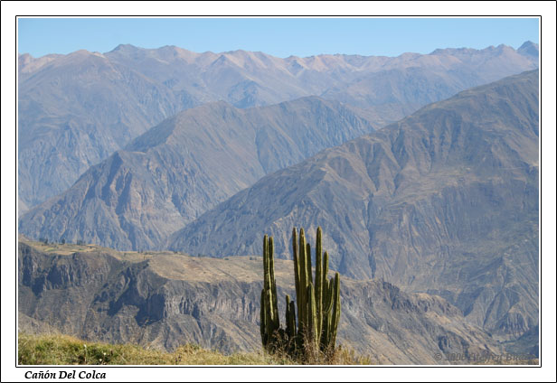 Peru Inka Anden Fotos Bilder Reiseberichte Colca-Canyon Condor Chivay Cabanaconde