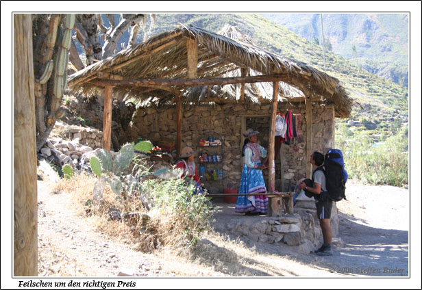 Peru Inka Anden Fotos Bilder Reiseberichte Colca-Canyon Condor Chivay Cabanaconde