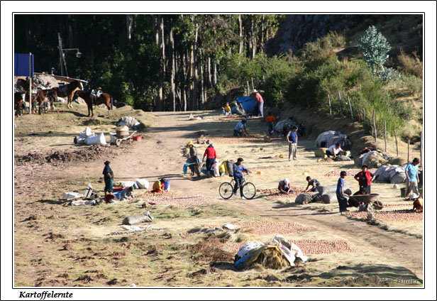 Peru Inka Anden Fotos Bilder Reiseberichte Cusco Tambo Machay Sacsayhuam�n