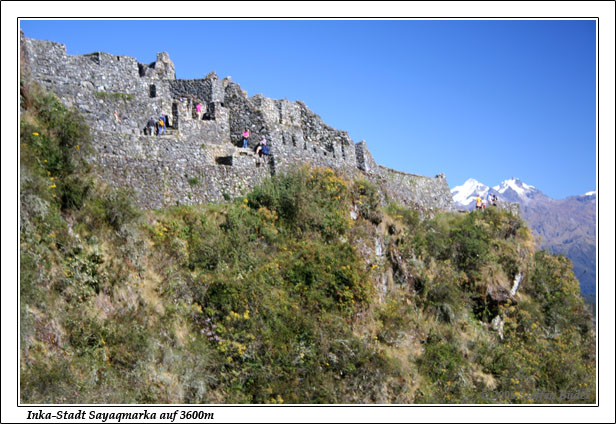 Peru Inka Anden Fotos Bilder Reiseberichte Machu Picchu Machu Pichu Inka Trail