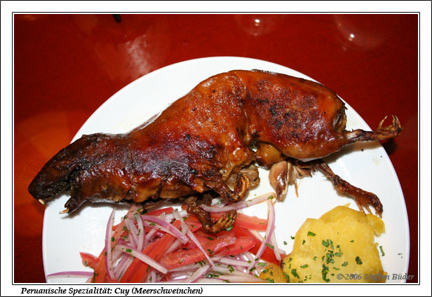 Peru Inka Anden Fotos Bilder Reiseberichte Cusco Tambo Machay Sacsayhuam�n